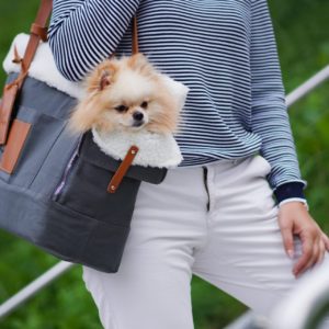 Liiva Dog Carrier & Personal Bag - Grey