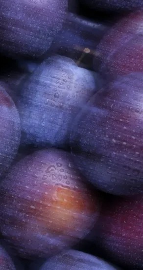 Perfume Oil - Craving the Moment, 10ml – Image 12