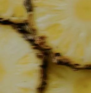 Perfume Oil - Ego Rex, 10ml