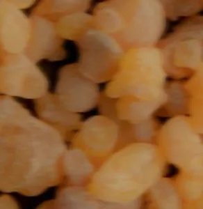 Spray Perfume - Paradox In A Bottle, 15ml, 50ml